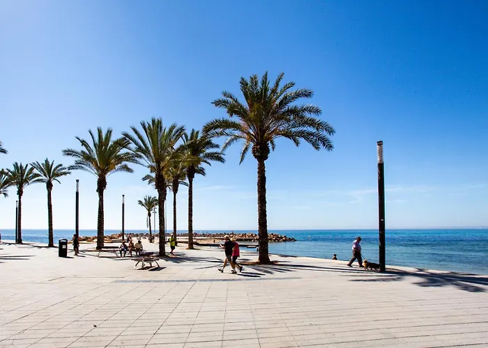 Appartement 3 Bedroom 2 Bathroom 500 Meters From The In